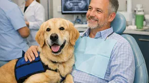 &iquest;Un perro en el odont&oacute;logo?